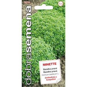 Dobré semená Bazalka pravá - Minette drobnolistá 0,6g