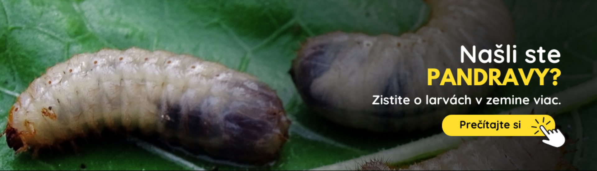 SK Pandravy (3,4,5,6,7,8,9,10) SK Pandravy (3,4,5,6,7,8,9,10)