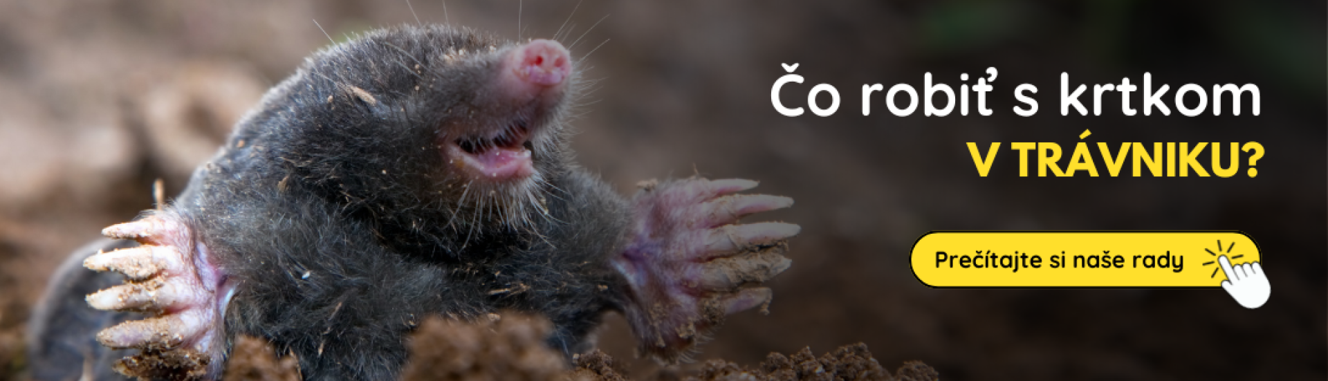 SK krtko (4,5,6) SK krtko (4,5,6)