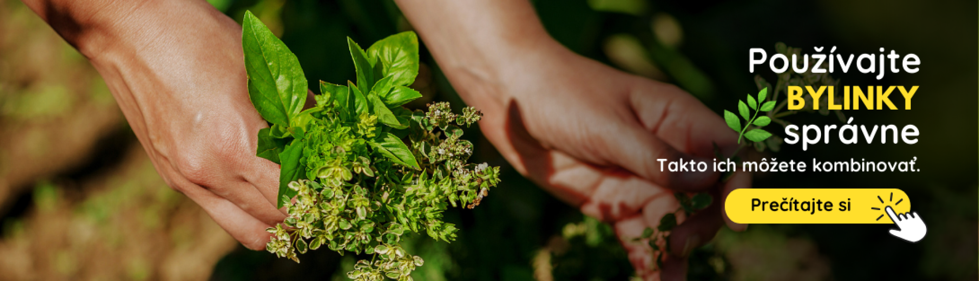SK Pestovanie byliniek (4,5,6,7,8,9) SK Pestovanie byliniek (4,5,6,7,8,9)