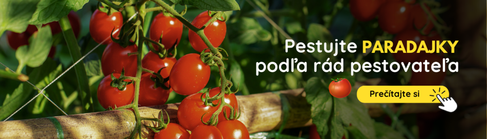SK Pestovanie paradajok (3,4,5,6,7,8,9) SK Pestovanie paradajok (3,4,5,6,7,8,9)
